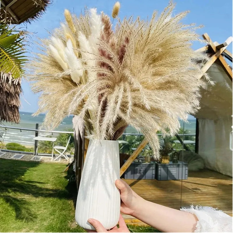 Natural Dried Flowers Pampas Phragmites Rabbit Tail Grass Bouquet for Boho Nordic Home Decor Wheat Ears Wedding Decoration