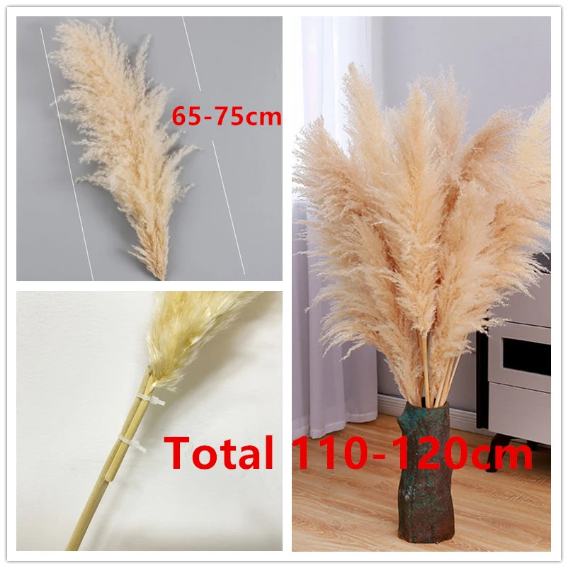 80cm Large Pampas Grass Natural Dried Flowers Bouquet for Wedding Christmas Decoration Fluffy Phragmites Boho Live Home