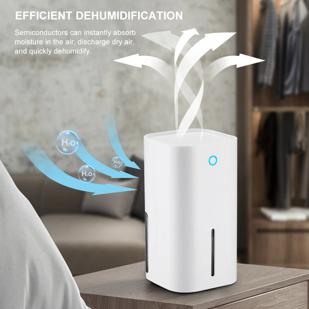 New Portable Dehumidifier With Basic Air Filter, 2 in 1 For Home For Room For Kitchen, Quiet Moisture Absorbers, Cost-Effective