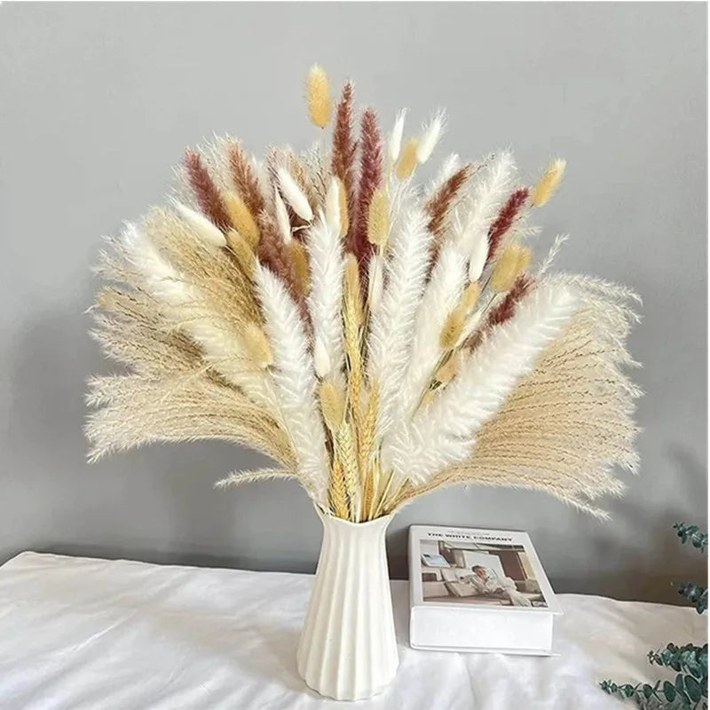 Natural Dried Flowers Pampas Phragmites Rabbit Tail Grass Bouquet for Boho Nordic Home Decor Wheat Ears Wedding Decoration