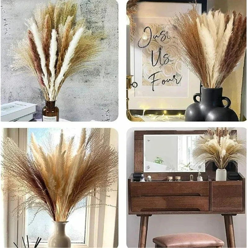 Natural Dried Flowers Pampas Phragmites Rabbit Tail Grass Bouquet for Boho Nordic Home Decor Wheat Ears Wedding Decoration