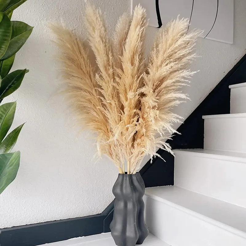 80cm Large Pampas Grass Natural Dried Flowers Bouquet for Wedding Christmas Decoration Fluffy Phragmites Boho Live Home