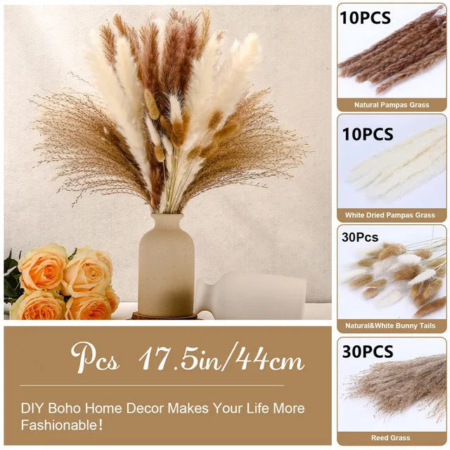 Natural Dried Flowers Pampas Phragmites Rabbit Tail Grass Bouquet for Boho Nordic Home Decor Wheat Ears Wedding Decoration