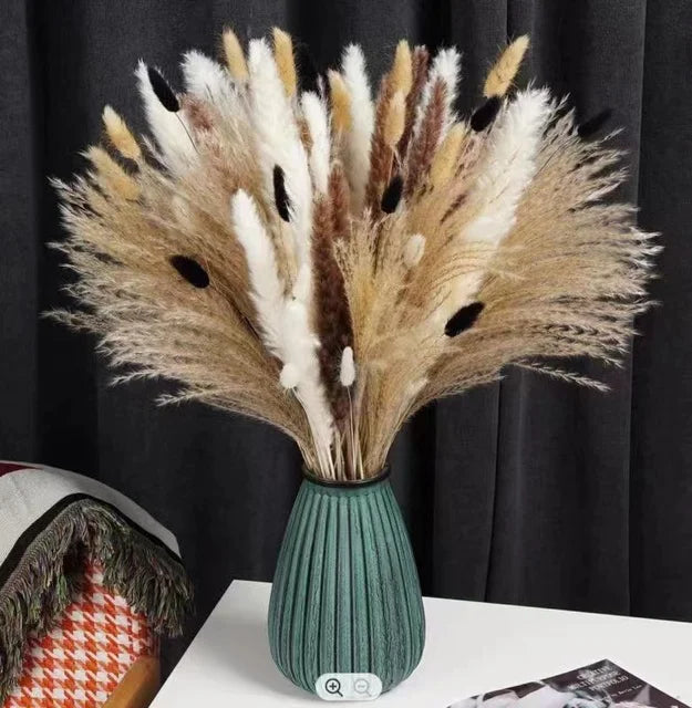 Natural Dried Flowers Pampas Phragmites Rabbit Tail Grass Bouquet for Boho Nordic Home Decor Wheat Ears Wedding Decoration