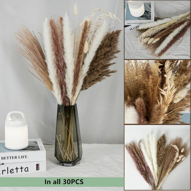 Natural Dried Flowers Pampas Phragmites Rabbit Tail Grass Bouquet for Boho Nordic Home Decor Wheat Ears Wedding Decoration