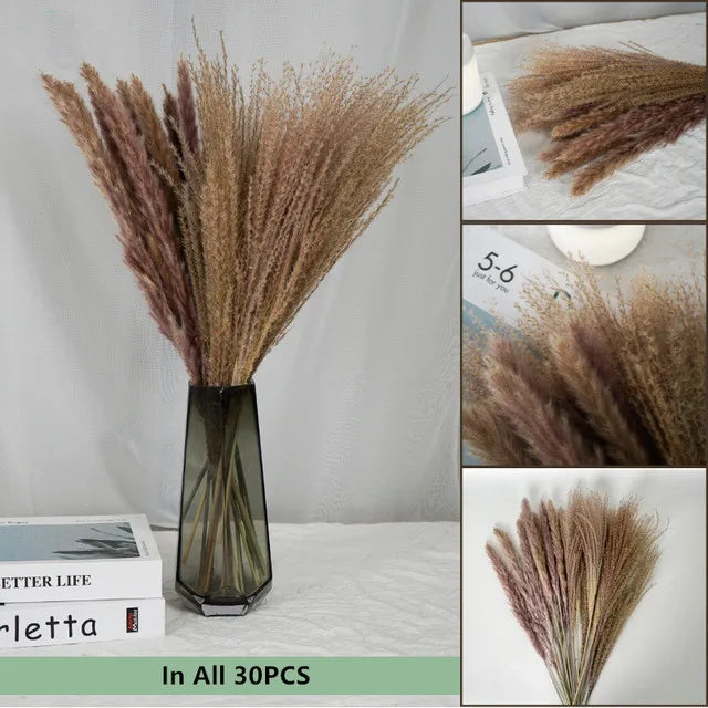 Natural Dried Flowers Pampas Phragmites Rabbit Tail Grass Bouquet for Boho Nordic Home Decor Wheat Ears Wedding Decoration