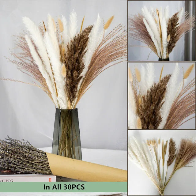 Natural Dried Flowers Pampas Phragmites Rabbit Tail Grass Bouquet for Boho Nordic Home Decor Wheat Ears Wedding Decoration