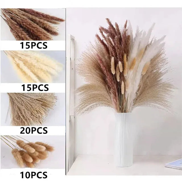 Natural Dried Flowers Pampas Phragmites Rabbit Tail Grass Bouquet for Boho Nordic Home Decor Wheat Ears Wedding Decoration