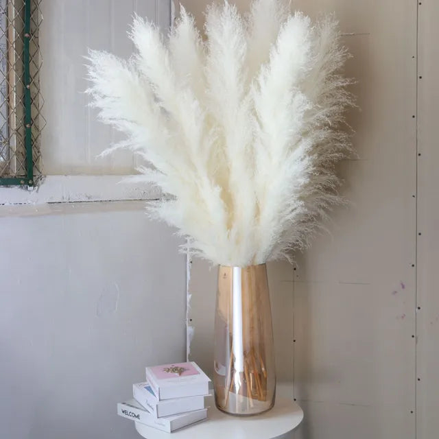 80cm Large Pampas Grass Natural Dried Flowers Bouquet for Wedding Christmas Decoration Fluffy Phragmites Boho Live Home