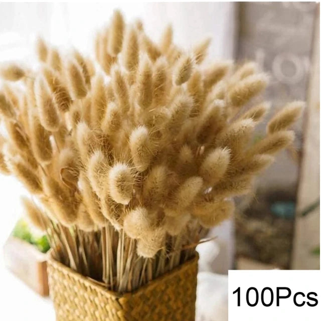 Natural Dried Flowers Pampas Phragmites Rabbit Tail Grass Bouquet for Boho Nordic Home Decor Wheat Ears Wedding Decoration