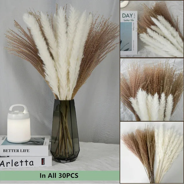 Natural Dried Flowers Pampas Phragmites Rabbit Tail Grass Bouquet for Boho Nordic Home Decor Wheat Ears Wedding Decoration