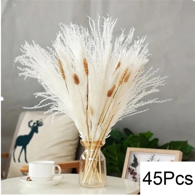 Natural Dried Flowers Pampas Phragmites Rabbit Tail Grass Bouquet for Boho Nordic Home Decor Wheat Ears Wedding Decoration