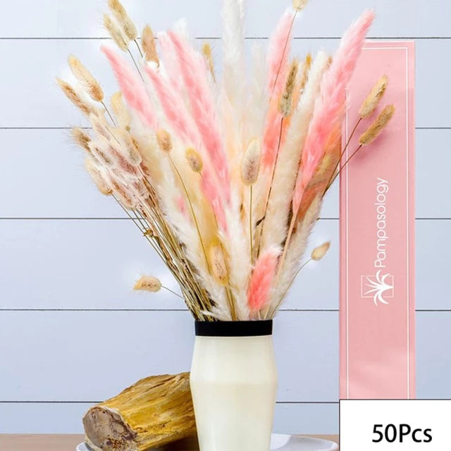 Natural Dried Flowers Pampas Phragmites Rabbit Tail Grass Bouquet for Boho Nordic Home Decor Wheat Ears Wedding Decoration