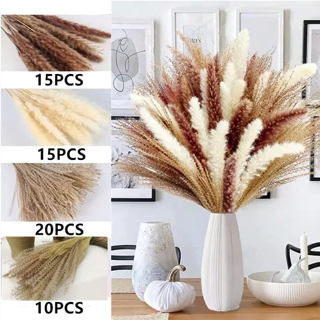 Natural Dried Flowers Pampas Phragmites Rabbit Tail Grass Bouquet for Boho Nordic Home Decor Wheat Ears Wedding Decoration