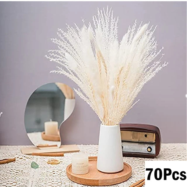 Natural Dried Flowers Pampas Phragmites Rabbit Tail Grass Bouquet for Boho Nordic Home Decor Wheat Ears Wedding Decoration