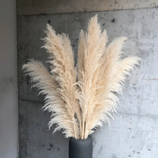 80cm Large Pampas Grass Natural Dried Flowers Bouquet for Wedding Christmas Decoration Fluffy Phragmites Boho Live Home