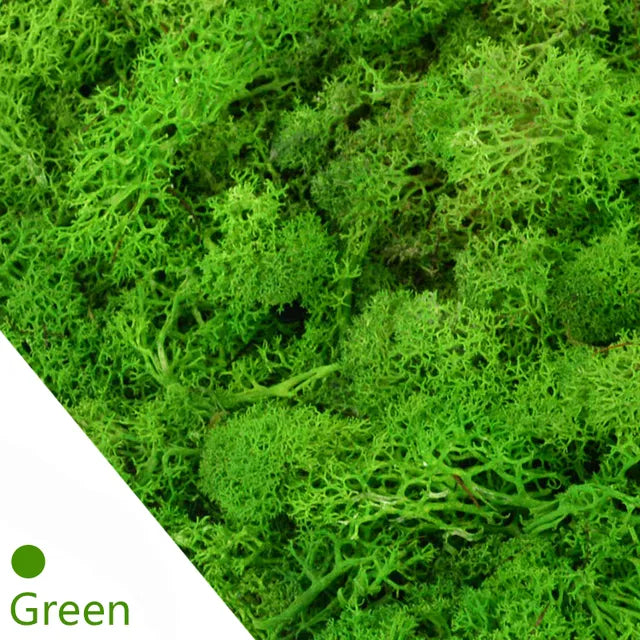 20/40g Artificial Green Plants Eternal Life Moss Grass Home Living Room Garden Decoration Mini Landscape Fake Flower DIY Crafts